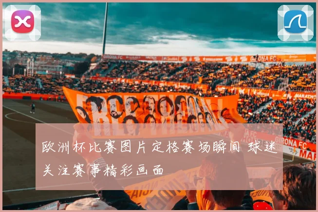 欧洲杯比赛图片定格赛场瞬间 球迷关注赛事精彩画面