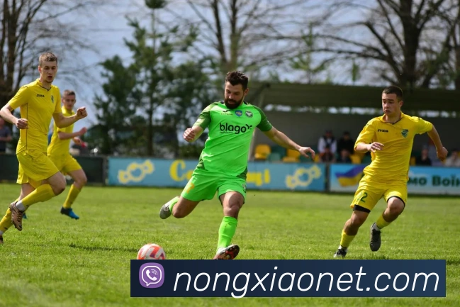 kaiyun登录入口网址服务体系